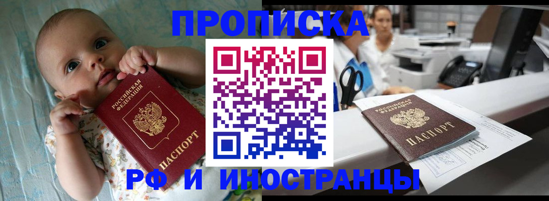 прописка поиск в Луге